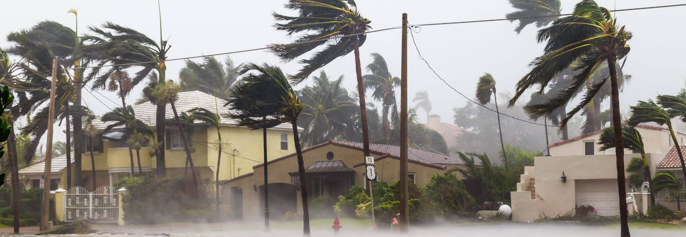 Tempête tropicale, cyclone, ouragan