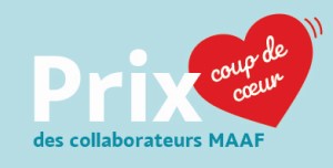Prix-coup-coeur-collaborateurs-maaf-fondation-initatives-handicap-2020.jpg