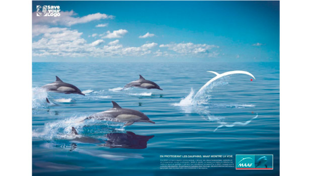 Opération sauvetage dauphin MAAF Save your logo