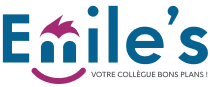 logo e-miles.png