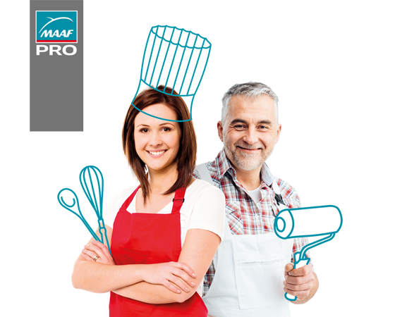 Assurance professionnelle