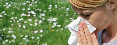 Allergie pollen