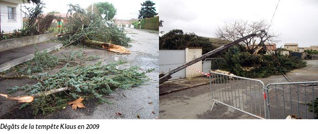 Dégâts de la tempête Klaus en 2009 en France